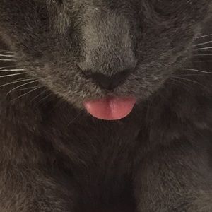 Meet your Posher, Edward